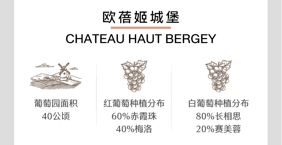 排行夺宝跨境欧蓓姬城堡干红葡萄酒20066868chateauhautbergey