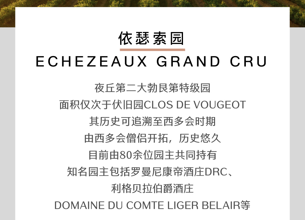 跨境路易亚都依瑟索干红葡萄酒20156868louisjadotechezeauxgrand