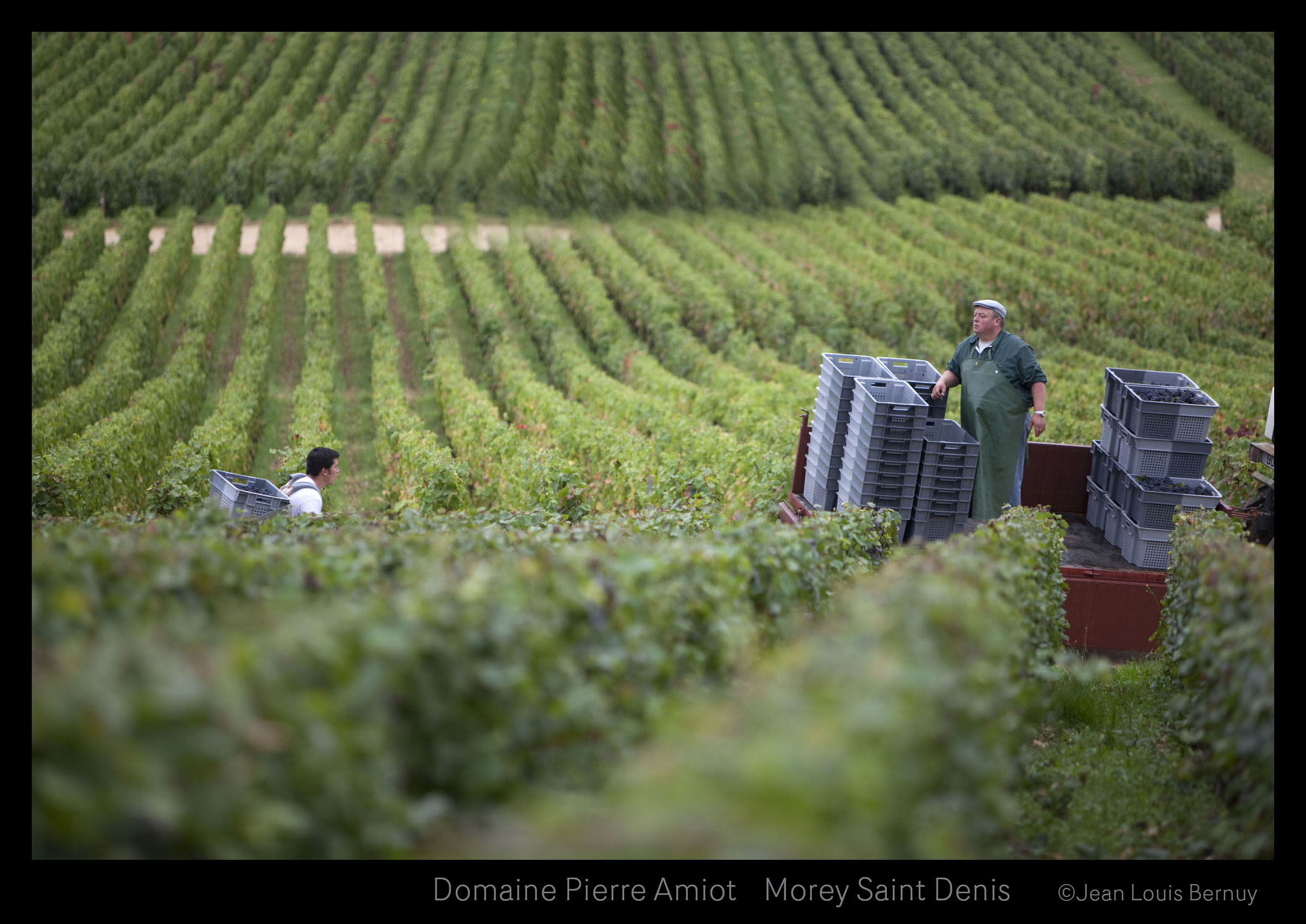 Domaine Pierre Amiot Et Fils Morey