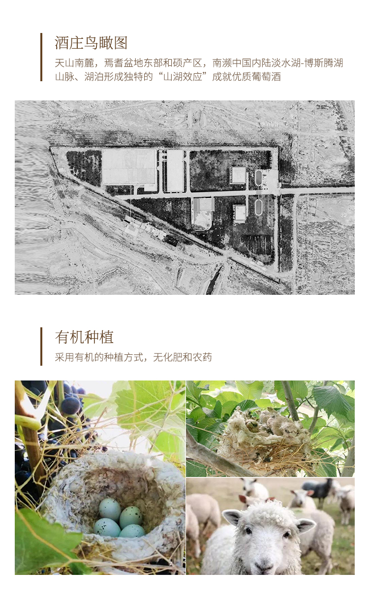 国色干红7.jpg