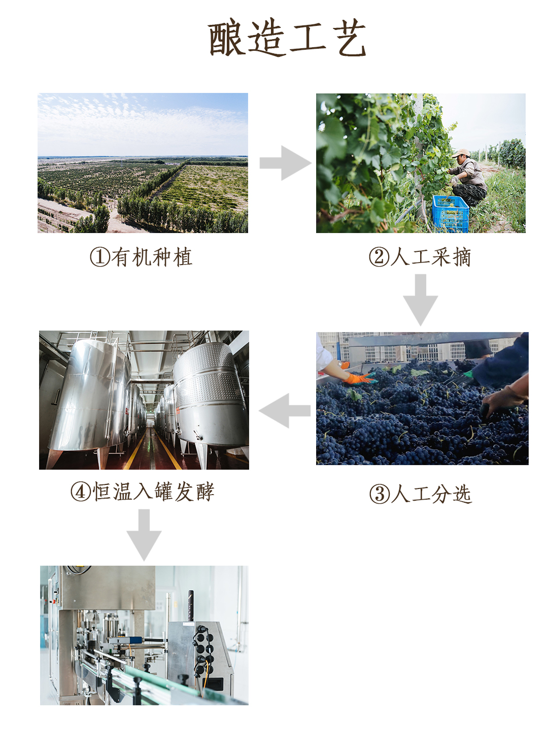 国色干红4.jpg