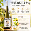 整箱大促 南澳霞多丽干白 金羊毛手绘系列 2025 750ml*5