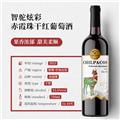智驼 750ml*6整箱【国际双金奖 智利原瓶进口】红酒干红葡萄酒甜美中央山谷送礼酒 