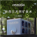 兰维乐地下矿泉水（10LX1)