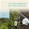 【康普茶】花仙子 单丛乌龙气泡康普茶